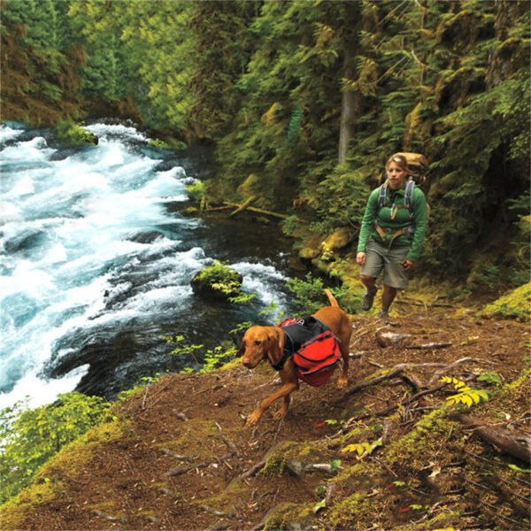 waterproof dog backpack harness